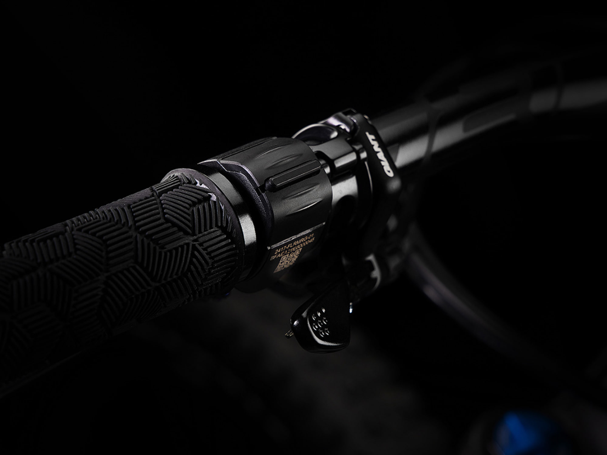 Giant RideControl Ergo Bedienkonsole online in der Schweiz bei